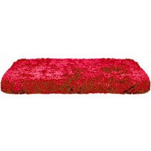 CAPA CAMA SC CABINE R 450 2019 VM